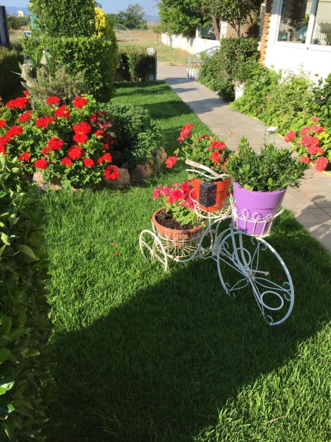Chaliotis Apartments Lefkandi Chalkidas Dış mekan fotoğraf