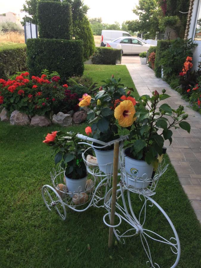 Chaliotis Apartments Lefkandi Chalkidas Dış mekan fotoğraf